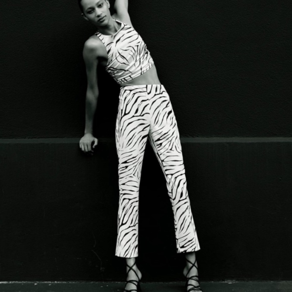 Zara zebra set - Picture 10 of 16